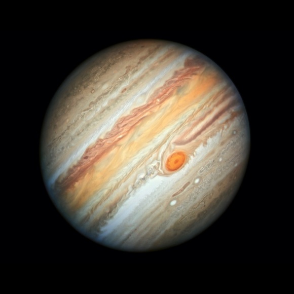 Meet your Posher, Brea - Picture 1 of 1